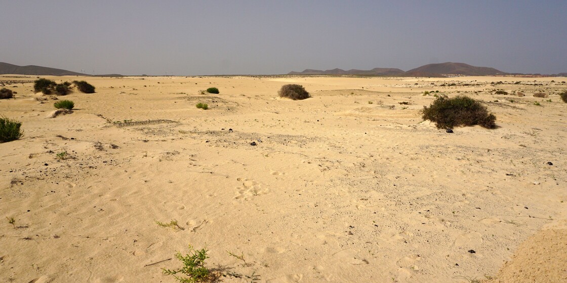 Dunas de Corralejo