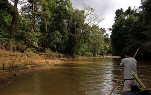 Bamboo Rafting