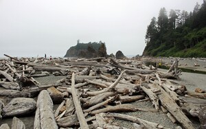 Ruby Beach
