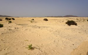 Dunas de Corralejo