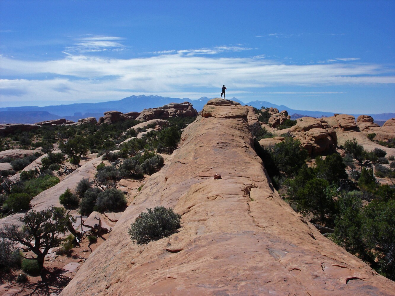 Arches_Devils Garden_Weg