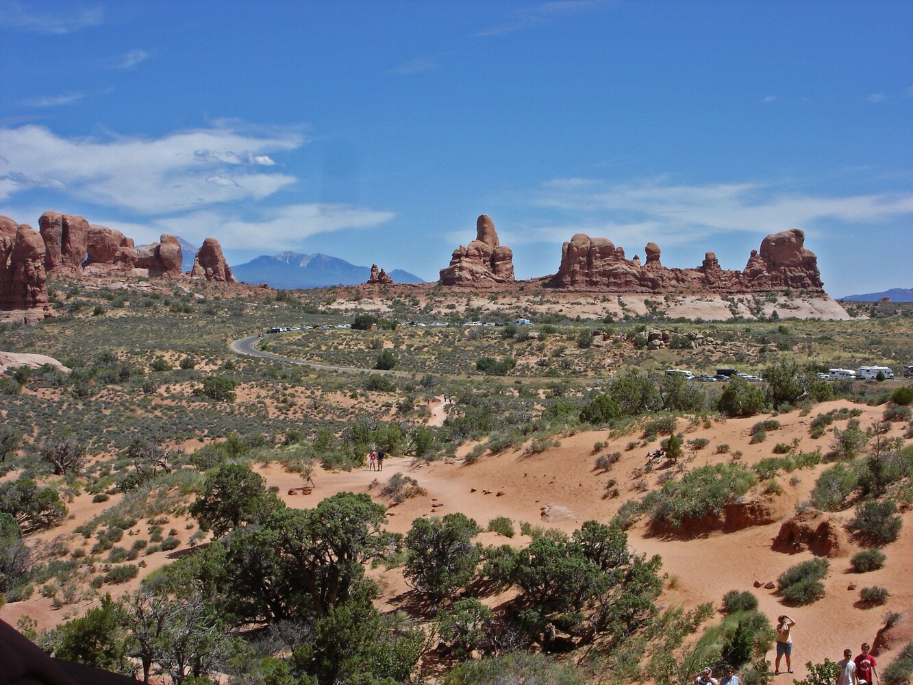 Arches_Windows Section