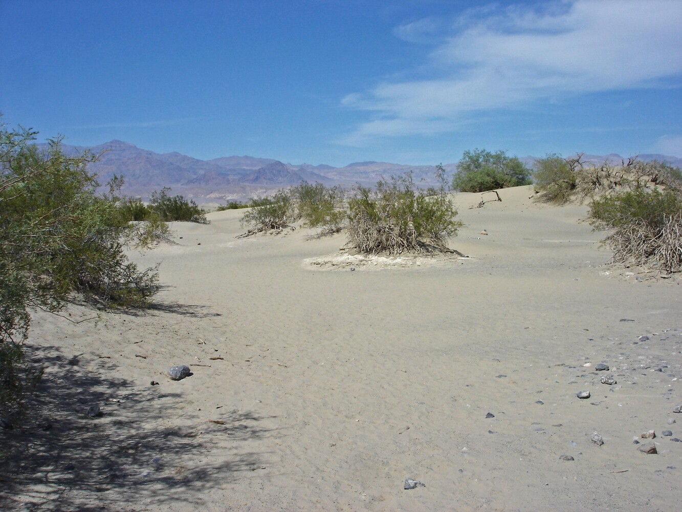 Death Valley_Mesquite Sand Dunes
