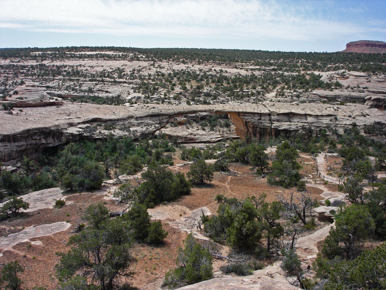 Natural Bridges_Owachomo