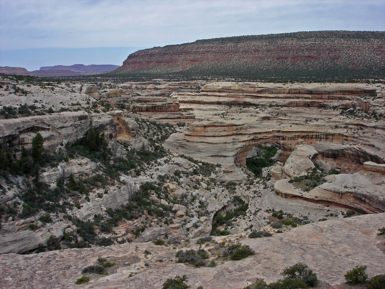 Natural Bridges_Sipapu