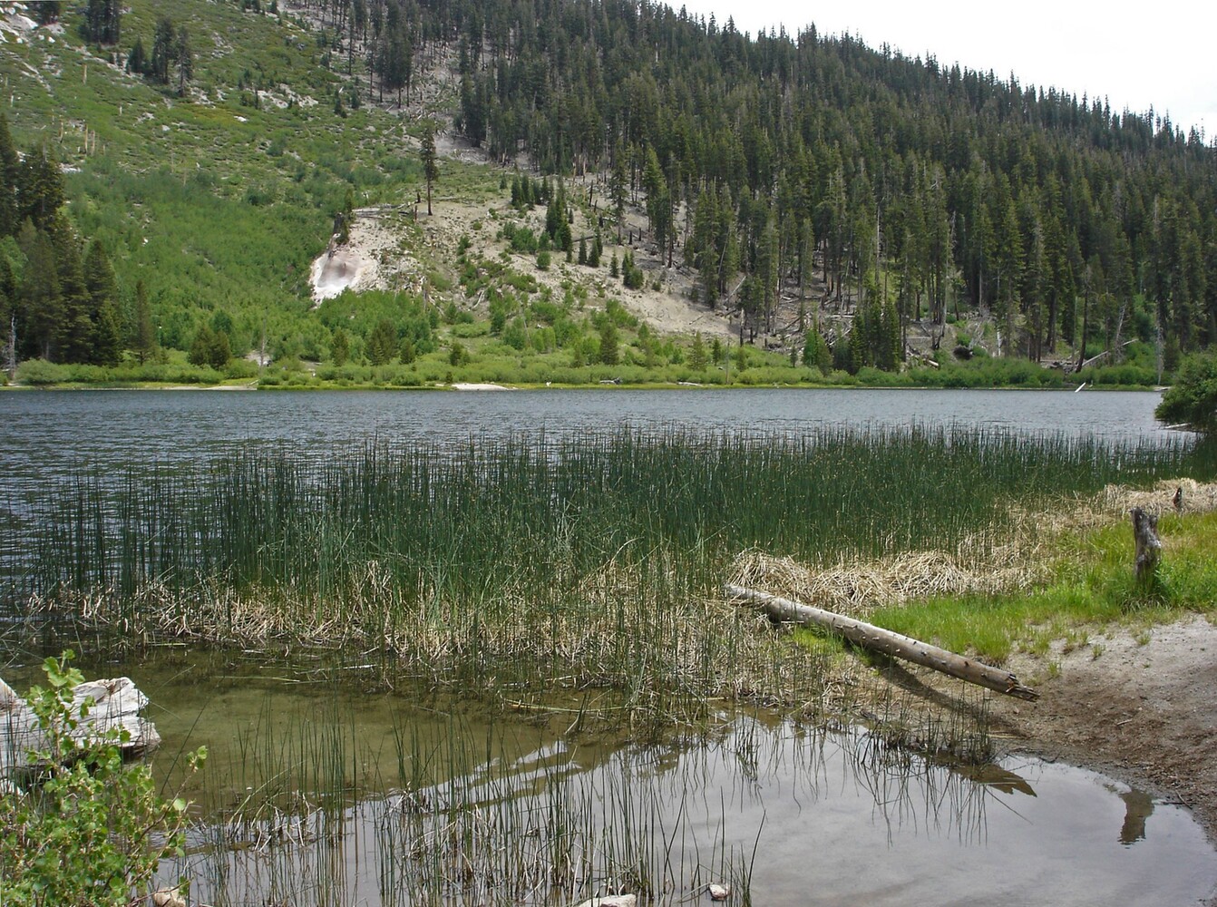 Sotcher Lake