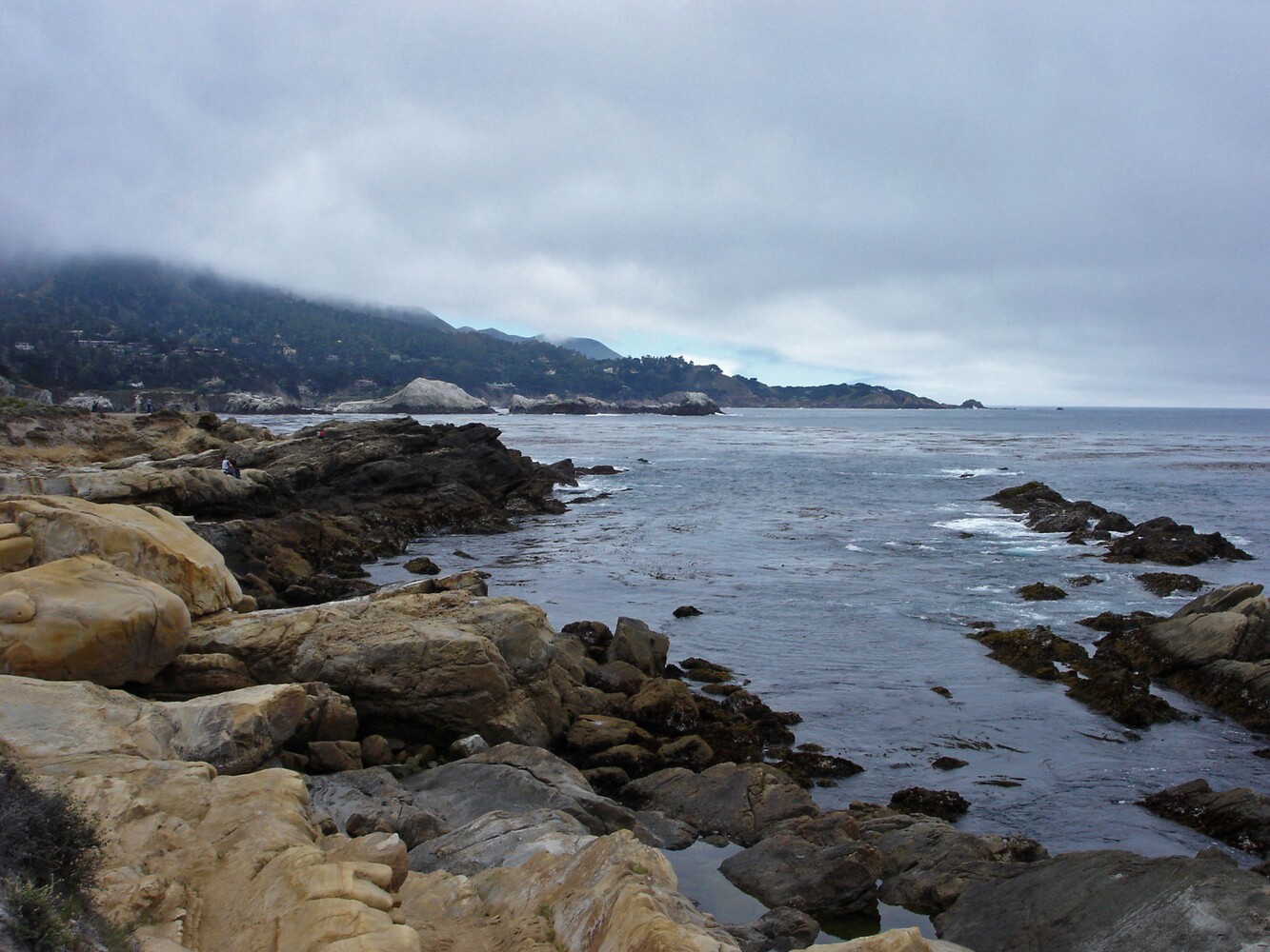Point Lobos State Reserve