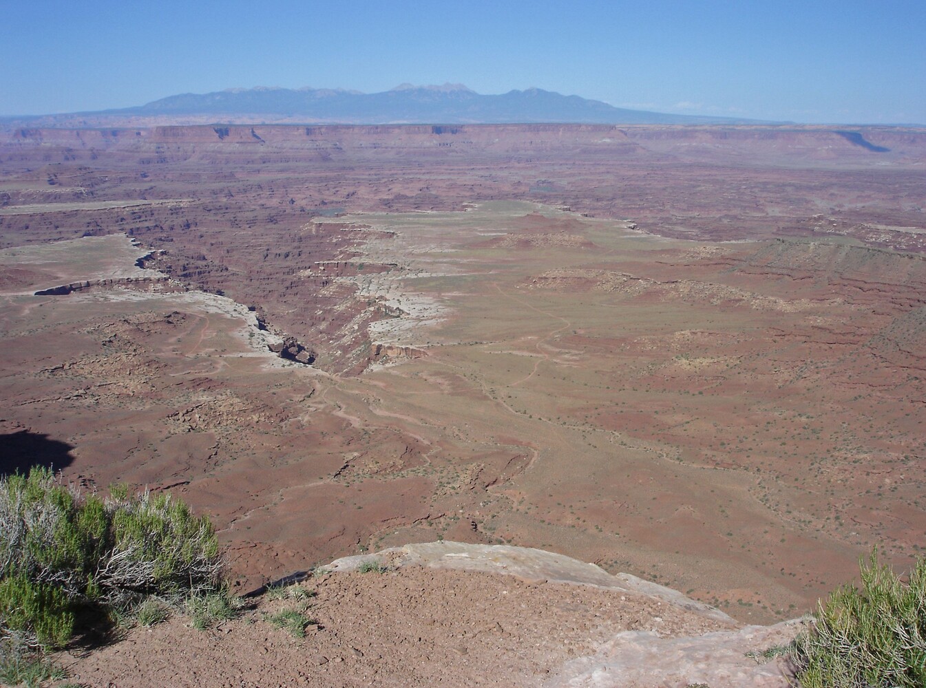 Canyonlands_Buck Canyon Overlook
