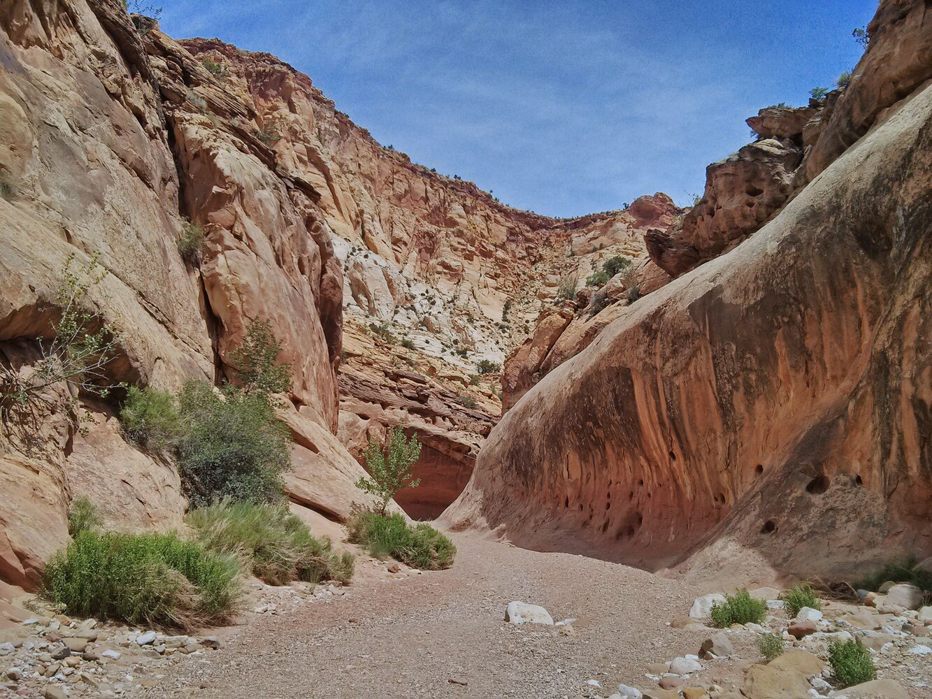 Capitol Reef_Capitol Gorge