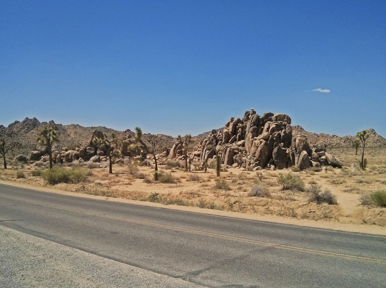 © ziegler.world Joshua Tree_Einfahrt