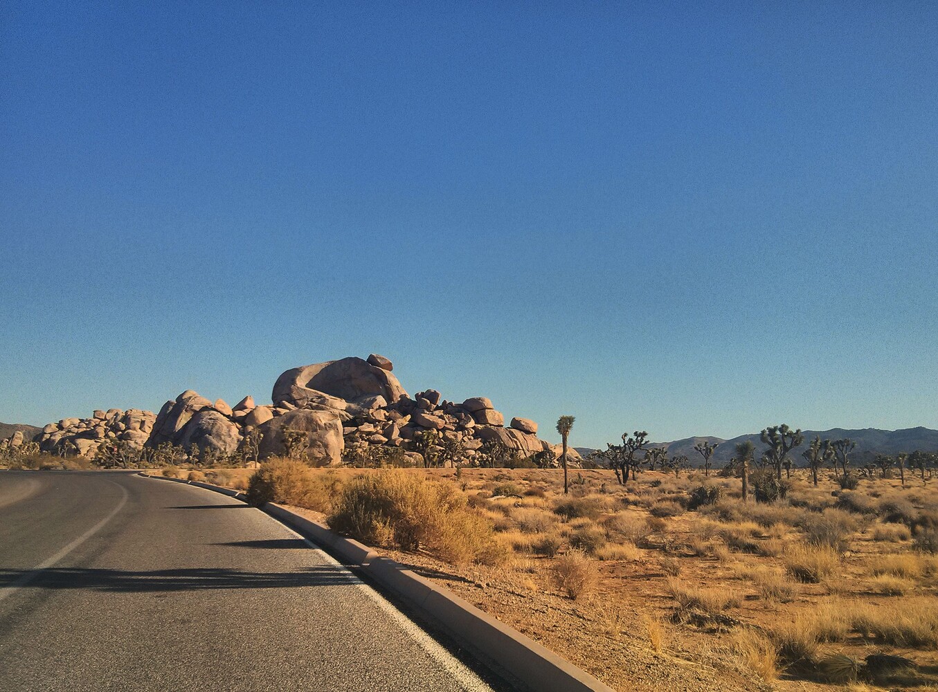 Joshua Tree_Skull Rock