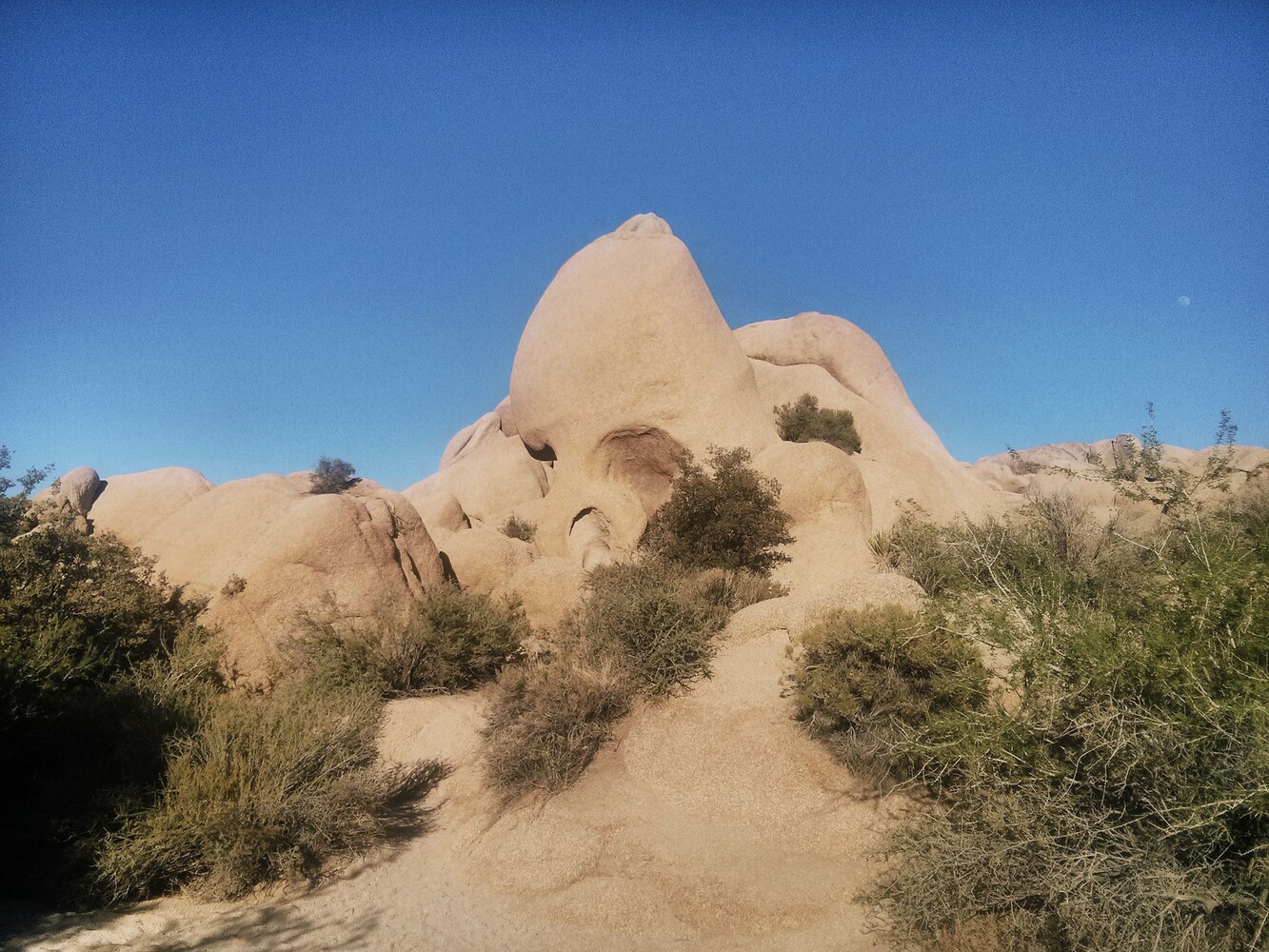 Joshua Tree_Skull Rock