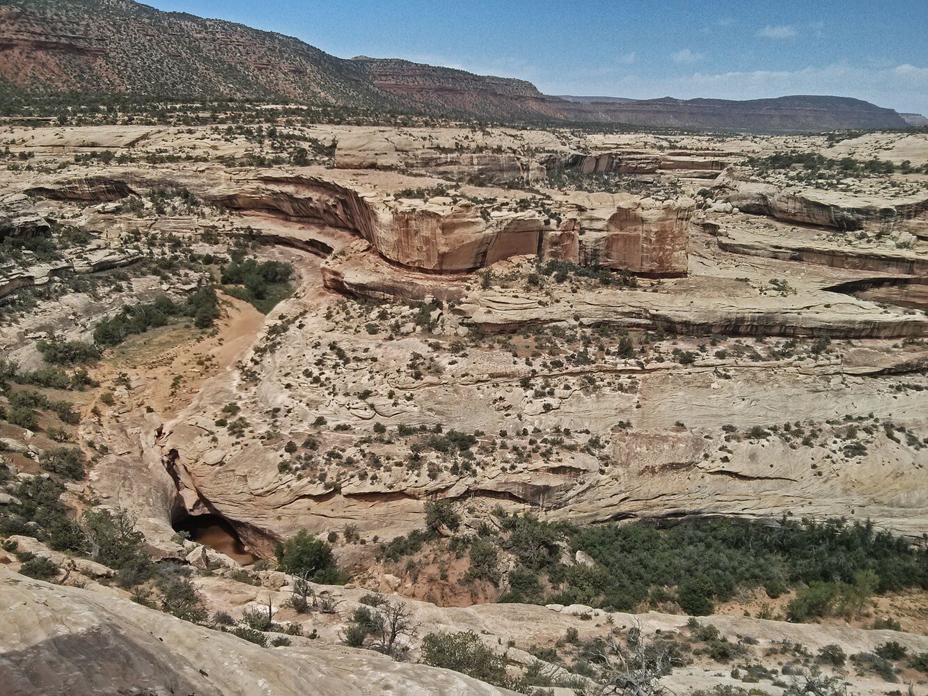Natural Bridges_Kachina