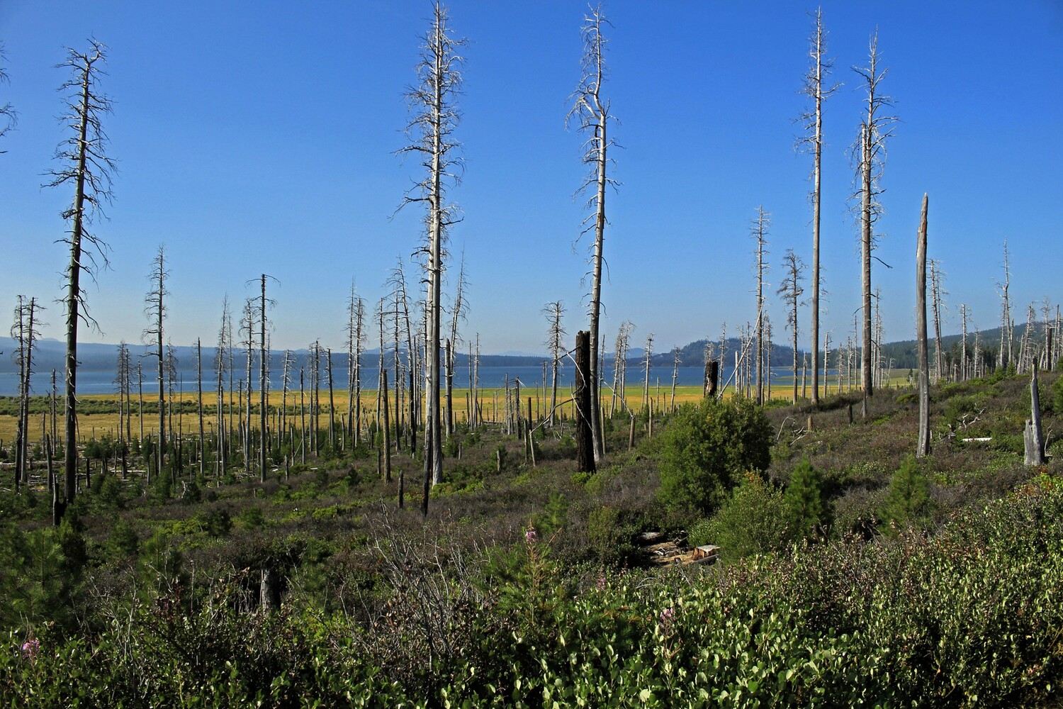 3 Sisters Wilderness