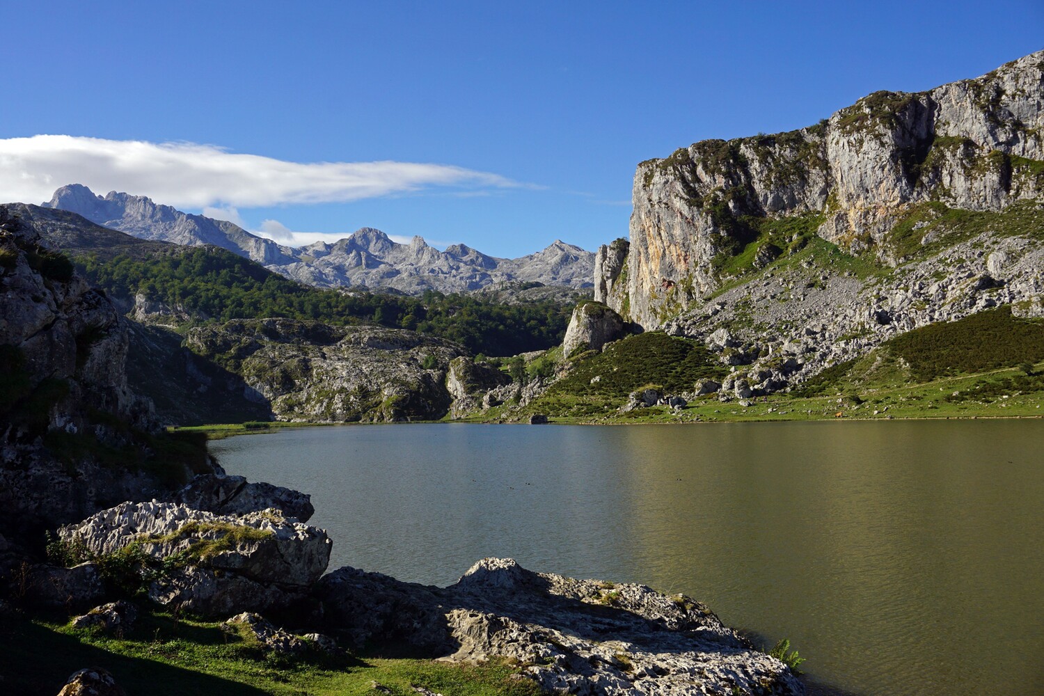 Lago de la Ercina