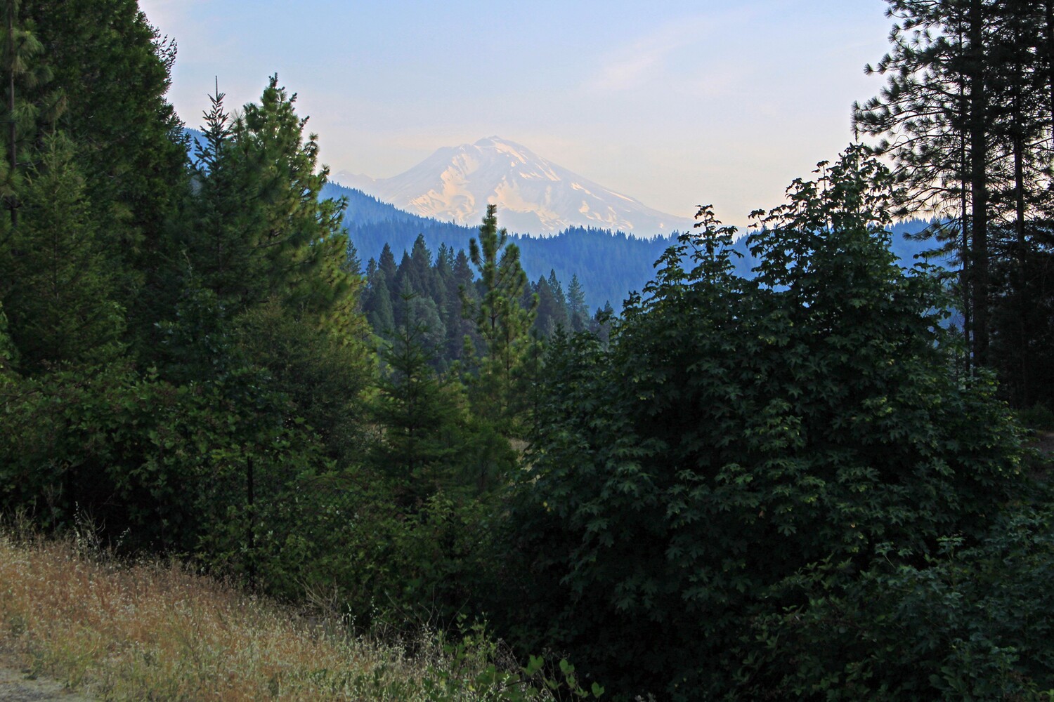 Mt Shasta