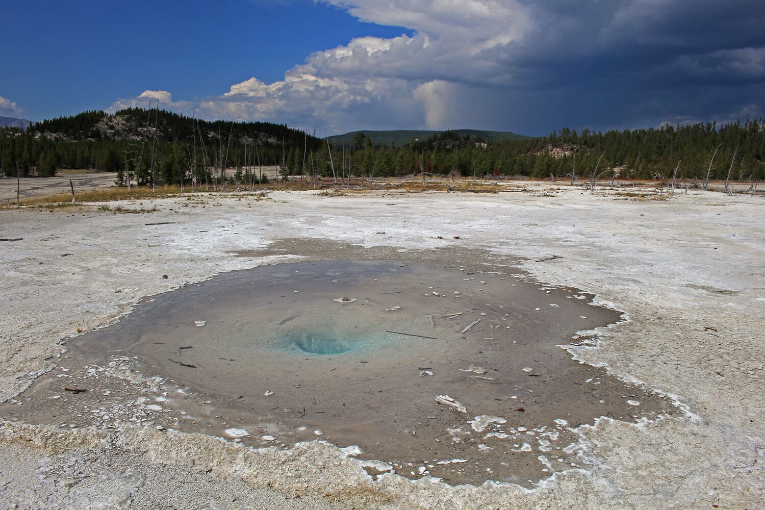 Norris Geysir Basin