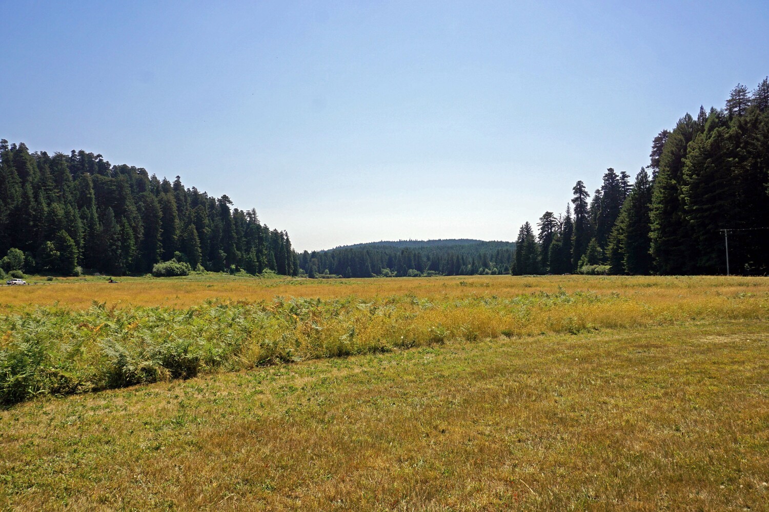 Prairie Creek Visitor Center