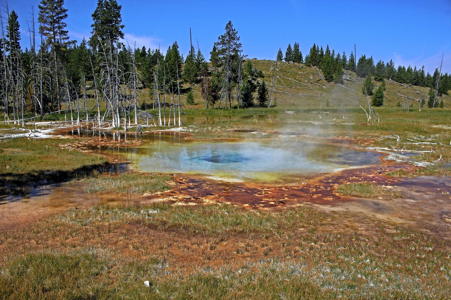 © ziegler.world Upper Geysir Basin