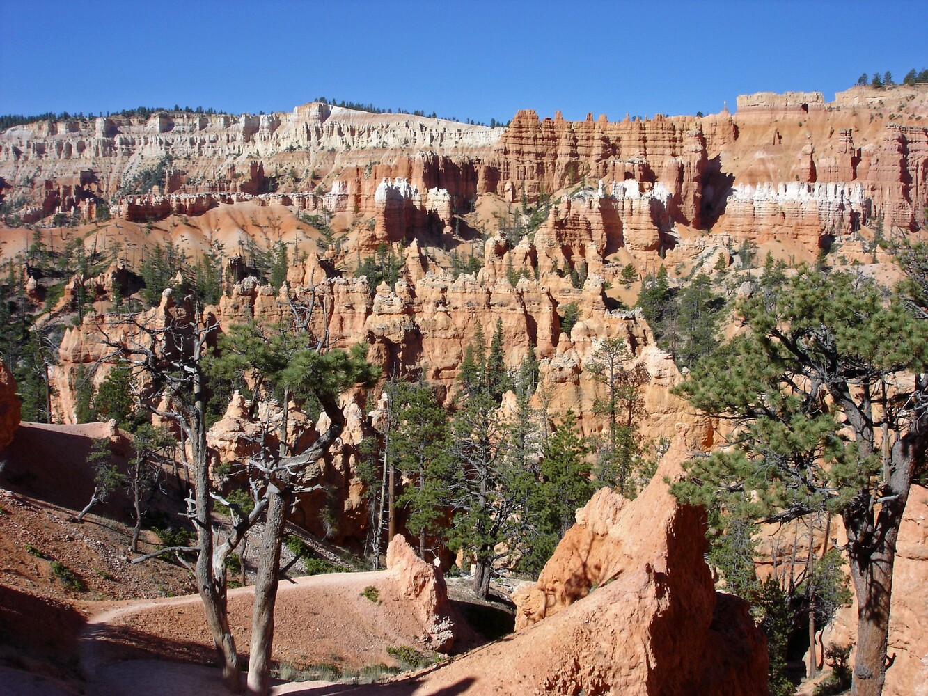 Bryce Canyon_Queens Garden Trail