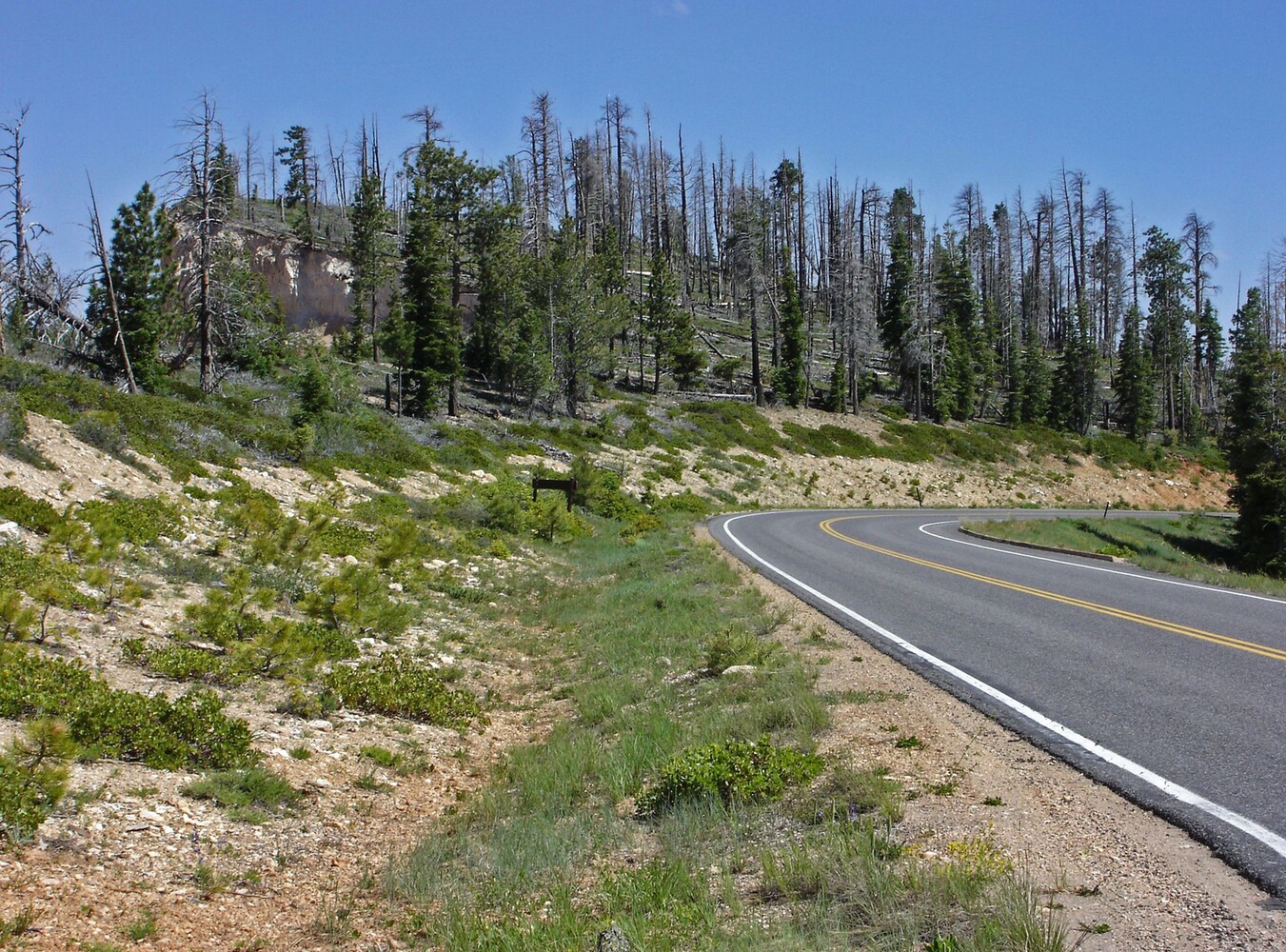 Bryce Canyon_Straße