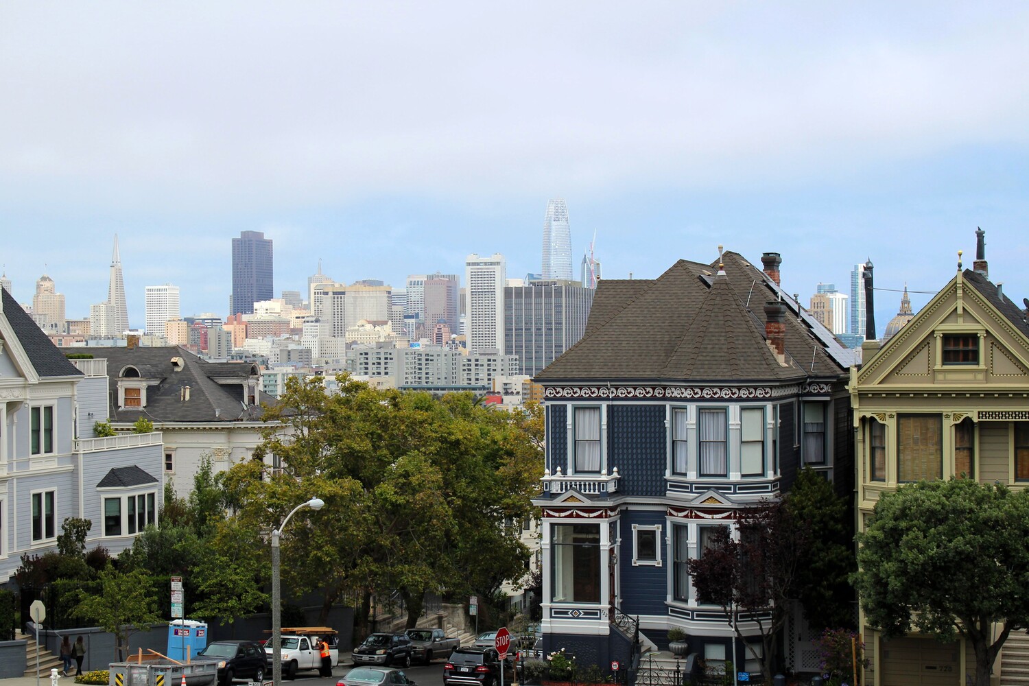 Painted Ladies