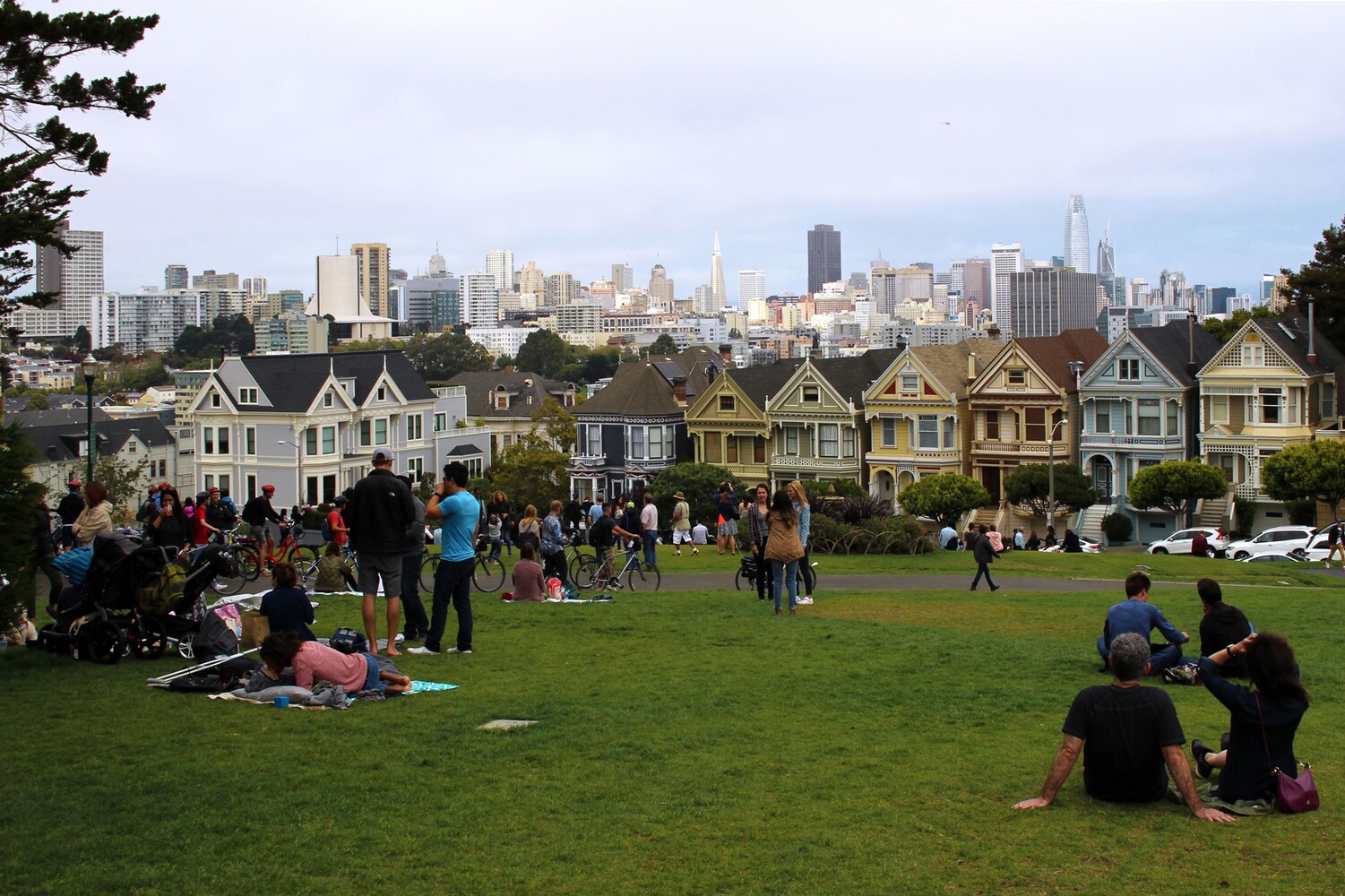 Painted Ladies