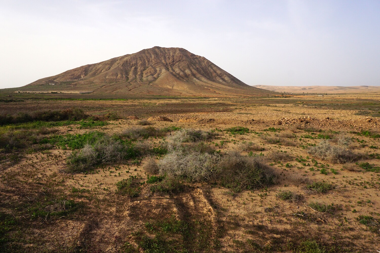 Montaña Sagrada de Tindaya
