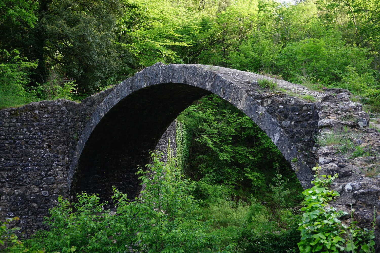 Ponte della Pia