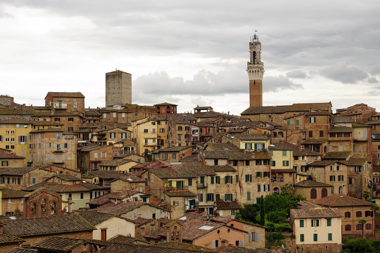 Siena Viewpoint