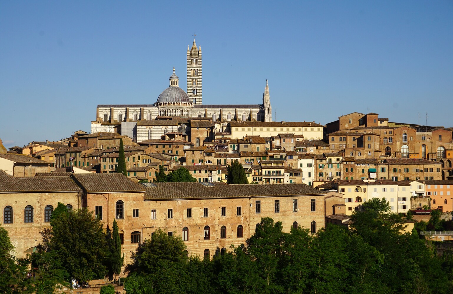 Siena Viewpoint