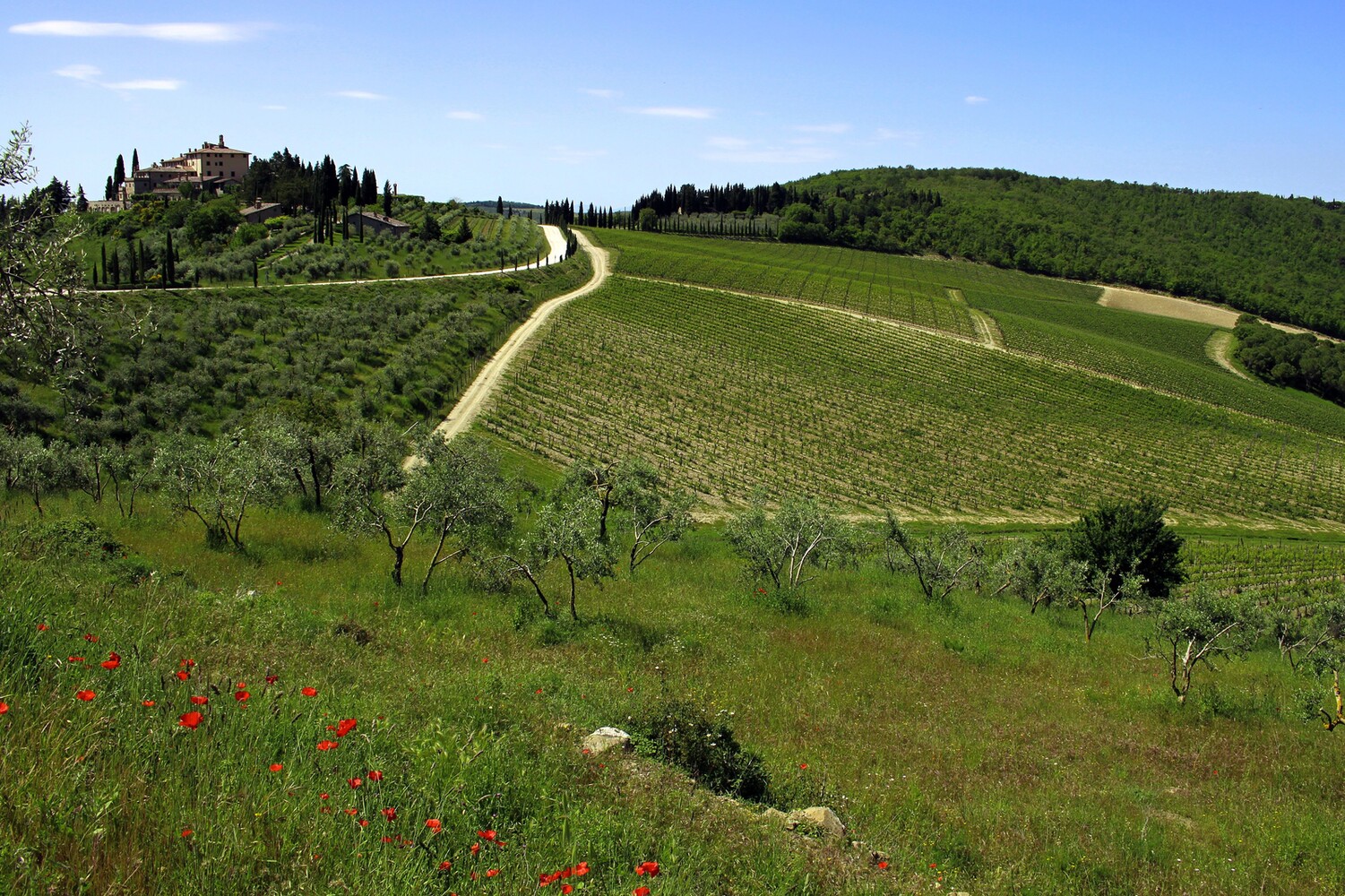 Chianti