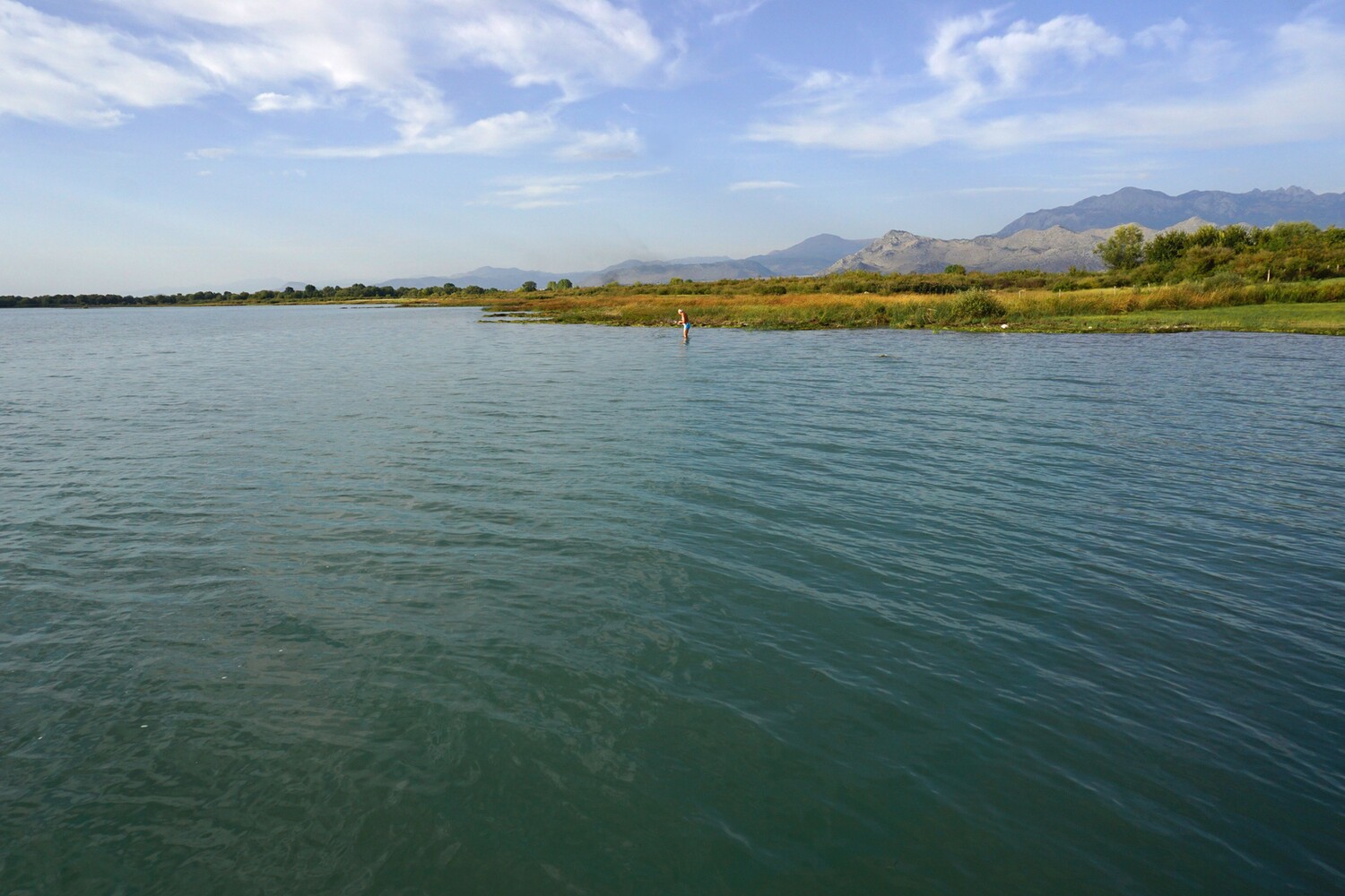 Shkodra See