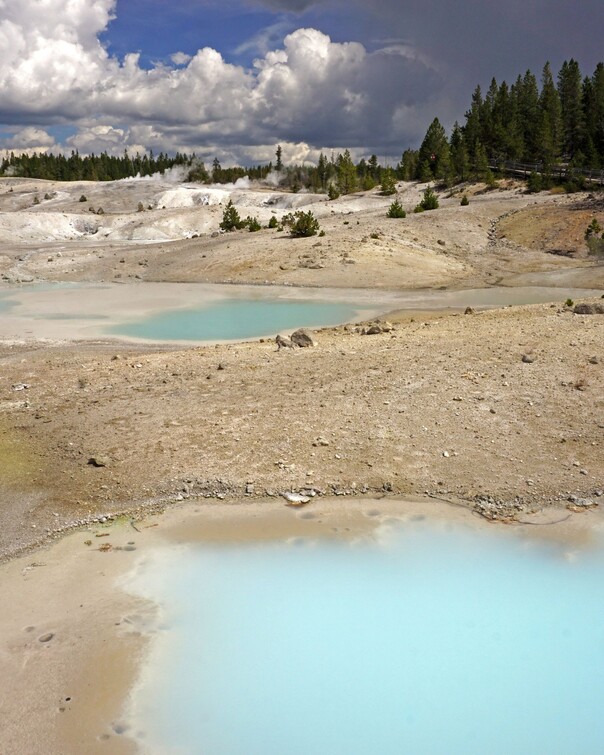 Norris Geysir Basin