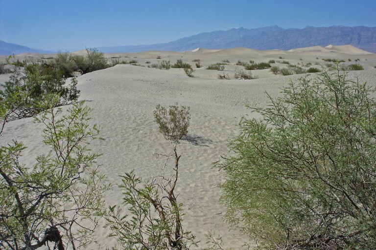 Death Valley_Mesquite Sand Dunes