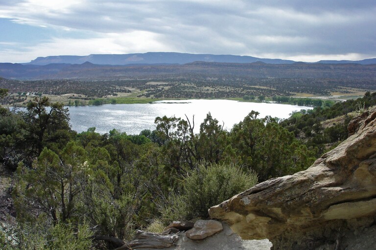Escalante Petrified Forest