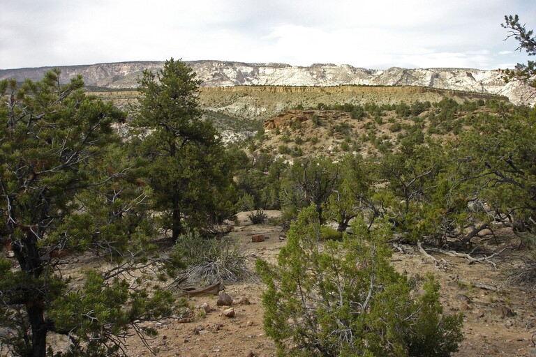 Escalante Petrified Forest