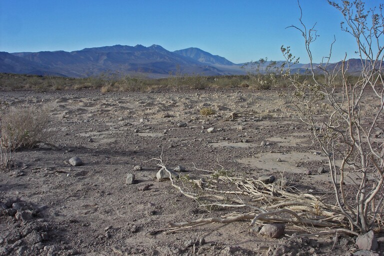 Father Crowley Vista Point
