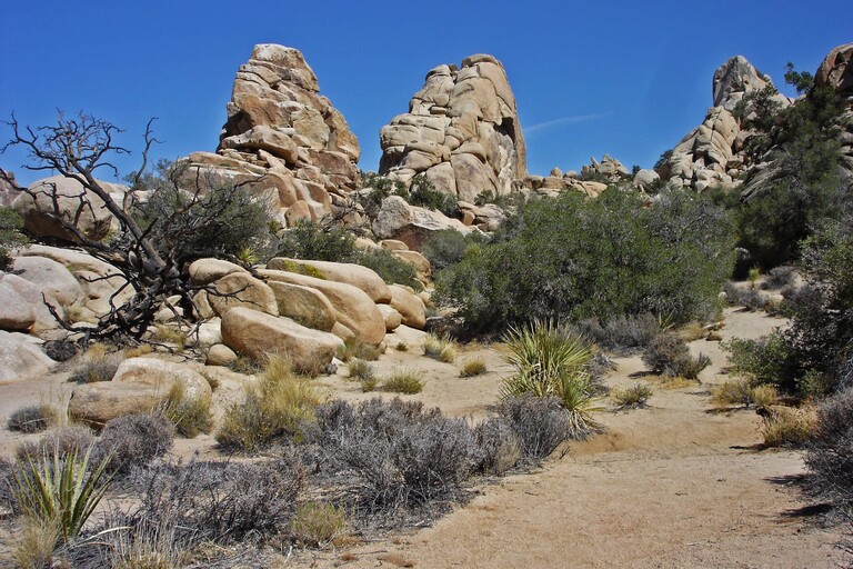 Joshua Tree_Hidden Valley