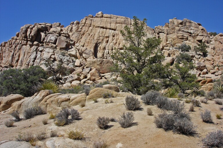 Joshua Tree_Hidden Valley