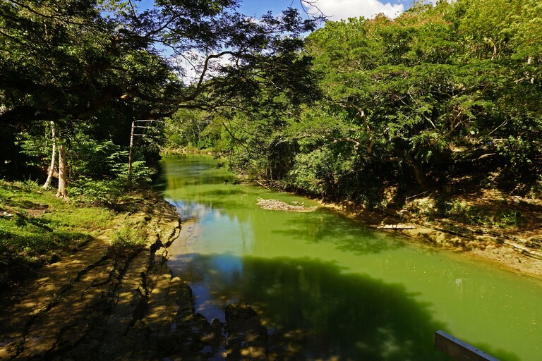 Loboc River
