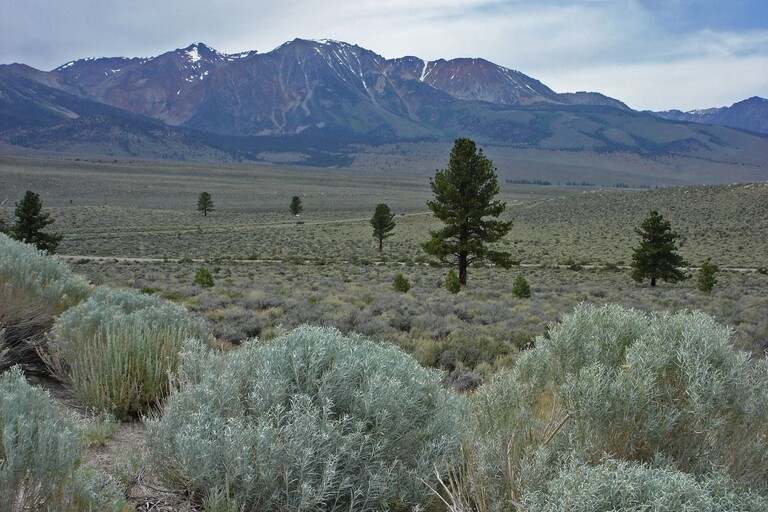 Mono Lake