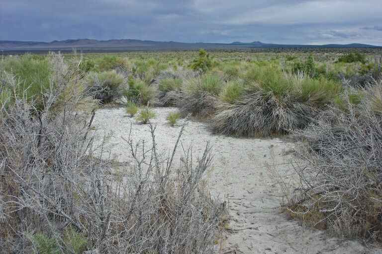 Mono Lake