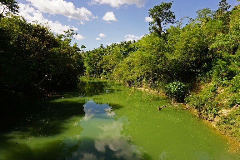 Sipatan Hanging Bridges