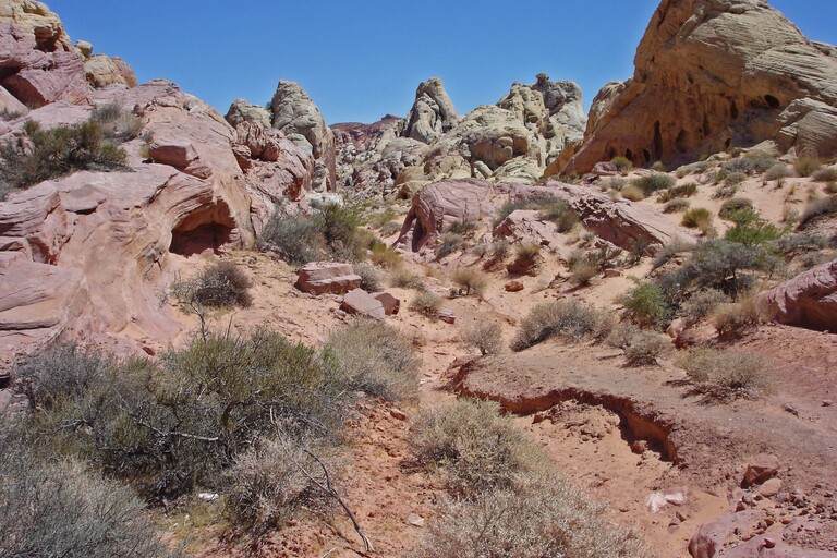 Valley of Fire_White Domes Trail