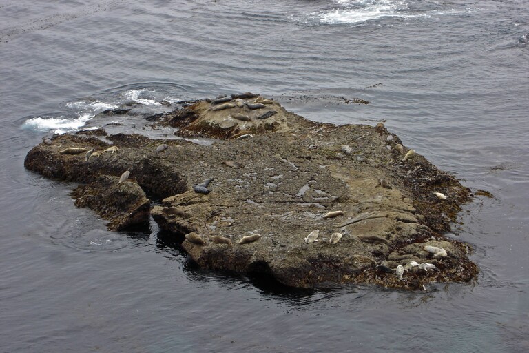 Point Lobos State Reserve