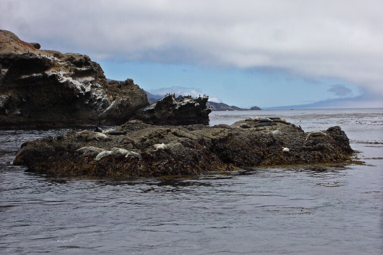 Point Lobos State Reserve