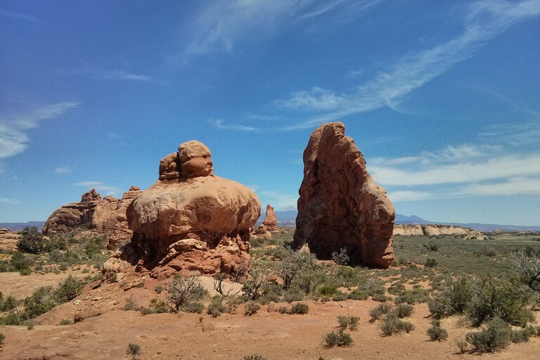 Arches_Windows Section