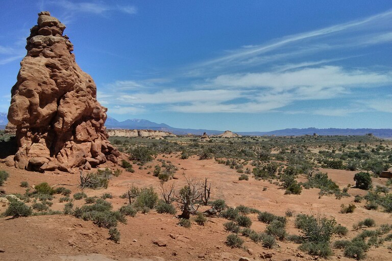 Arches_Windows Section