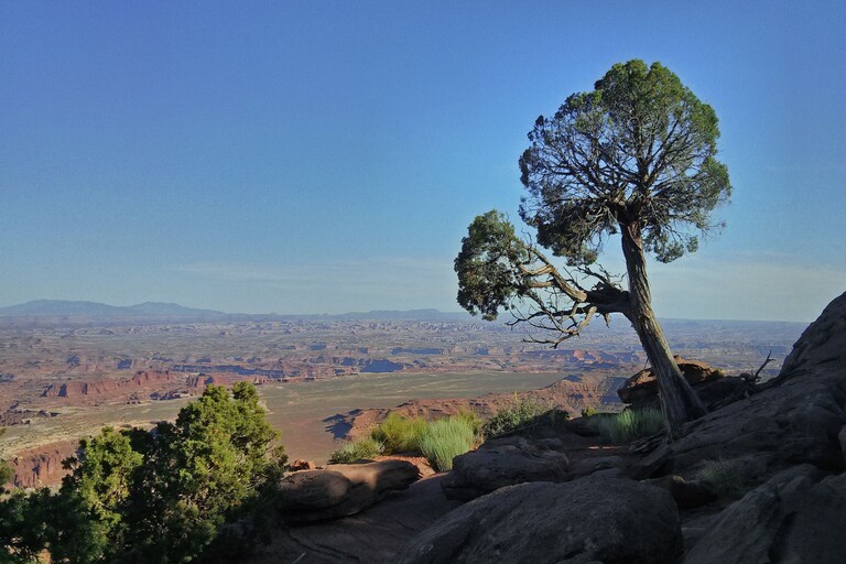Canyonlands_Grand View